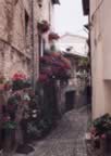 vicolo di Santa fiora (22kb)